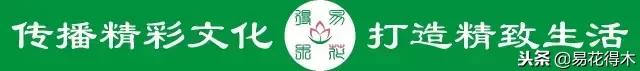 三色鐵特征及園林用途
