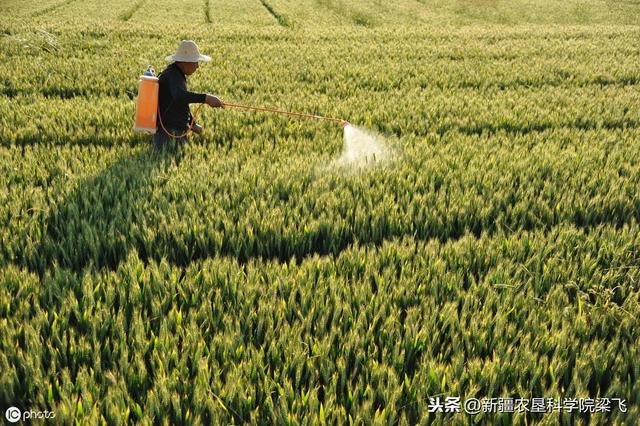 鐵粉在農(nóng)業(yè)方面的用途